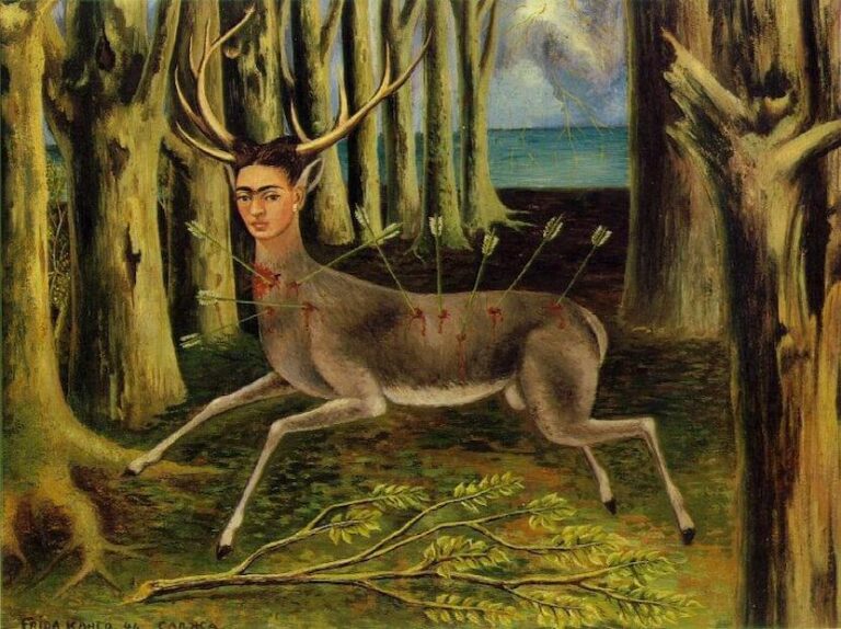 the wounded deer