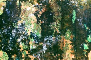 KIBONTÁS / UNFOLDING